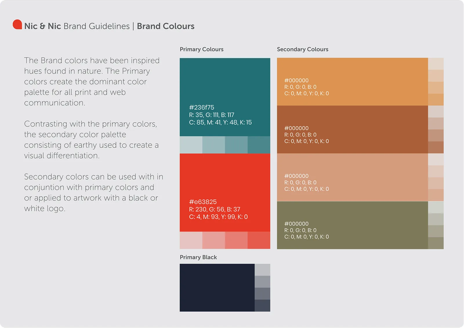 Nic & Nic — brand guidelines, colours
