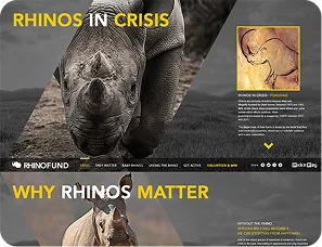 Rhino Fund — Rhinos in Crisis