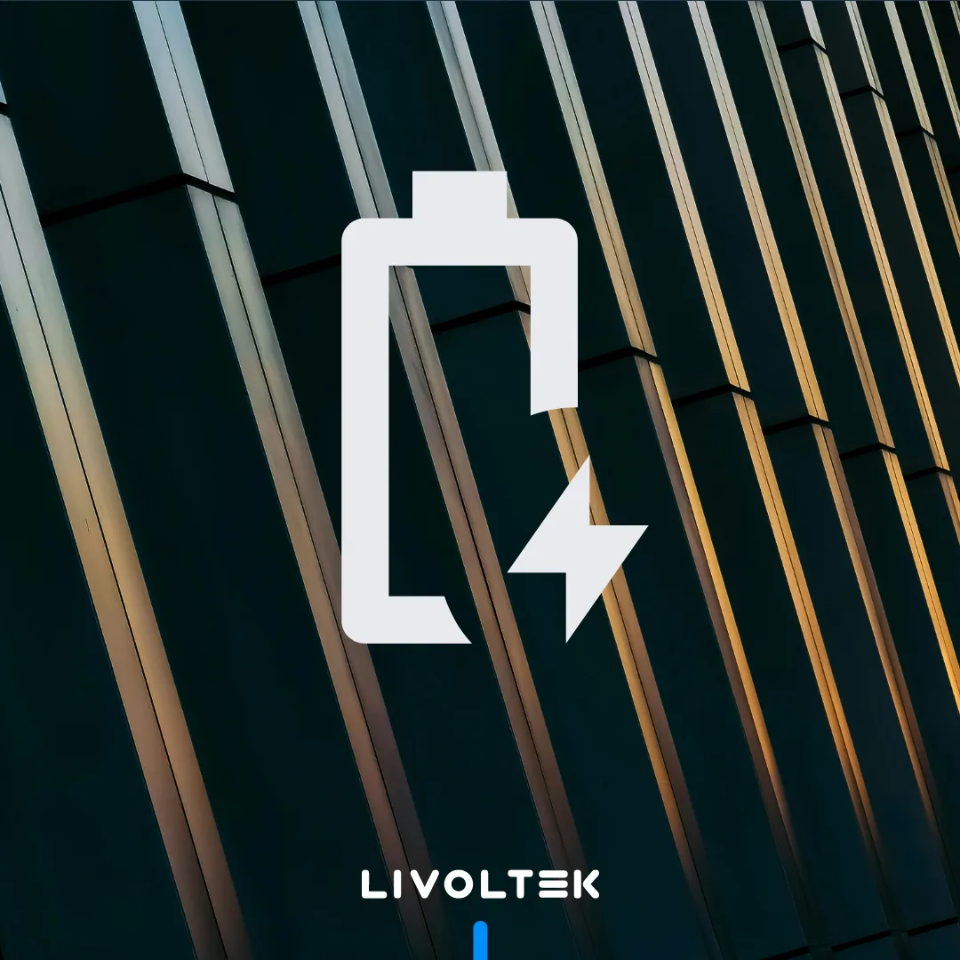 Livoltek — energy icon visual